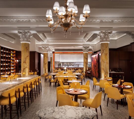 Seta Sydney Seta Sydney