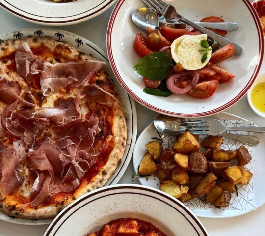 Chicco Palms Chicco Palms